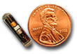 Penny