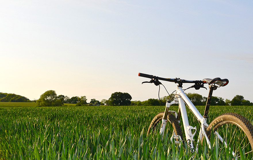 Bicycle in Grass