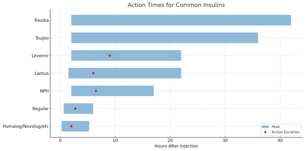 Insulin Action Time graph