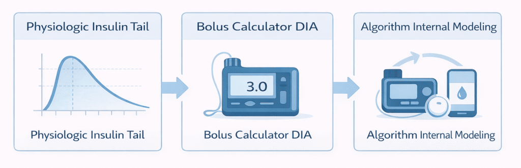 Diagram showing three separate concepts: physiologic insulin tail, bolus calculator DIA, and algorithm internal modeling
