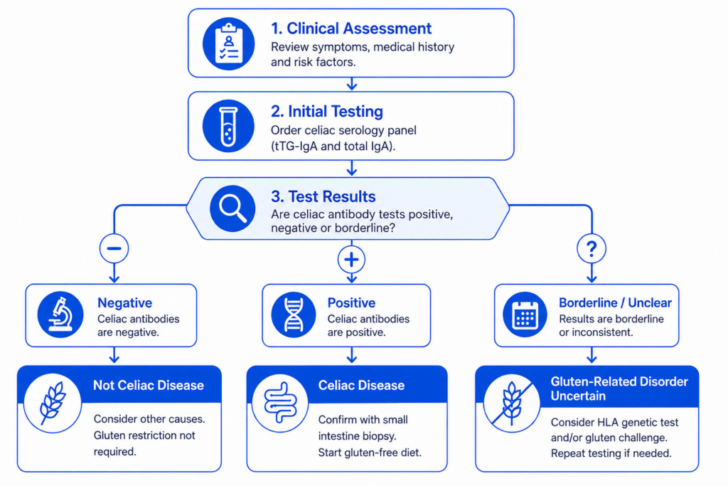 Diagnostic flowchart for wheat allergy, gluten sensitivity, and celiac disease
